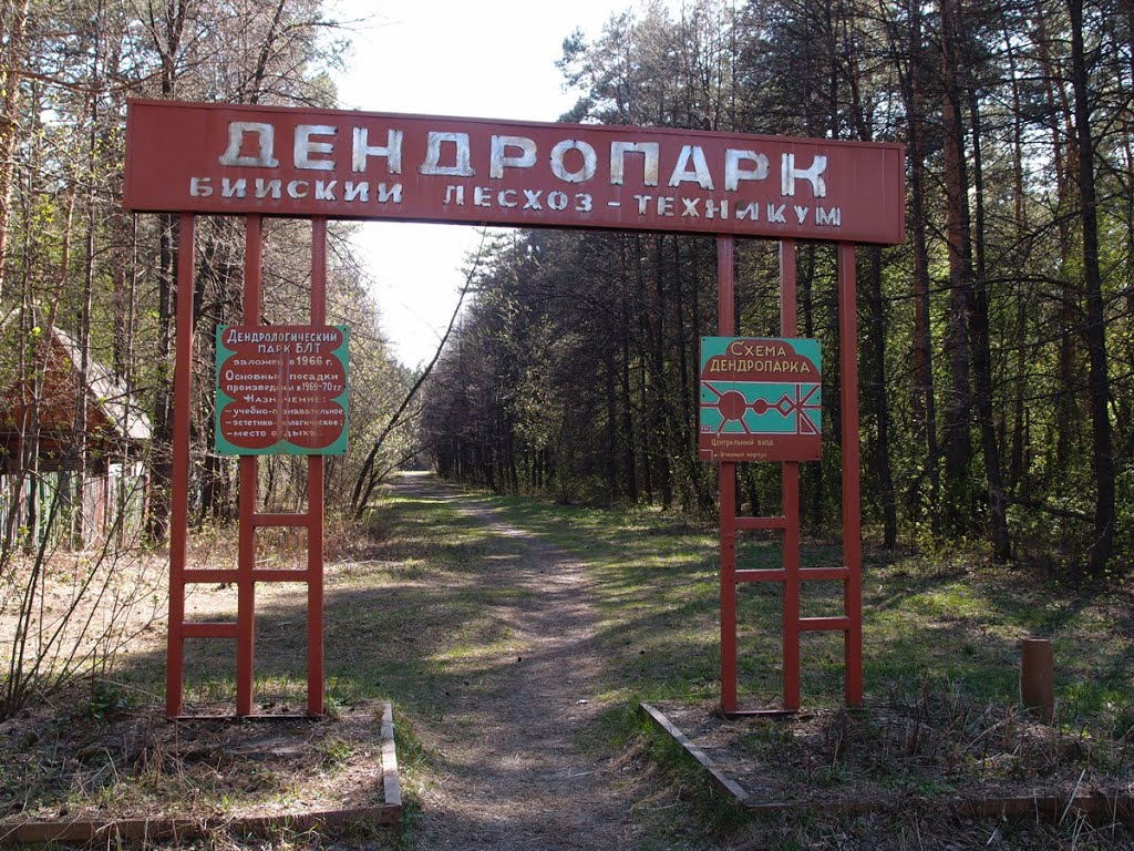 Лесное хозяйство бийск. Дендропа́рк Бийск. Алтайское Бийск Дендрарий. Техникум лесного хозяйства Бийск. Парк Бийск Заречье.